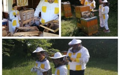 Exkurze do včelího úlu
